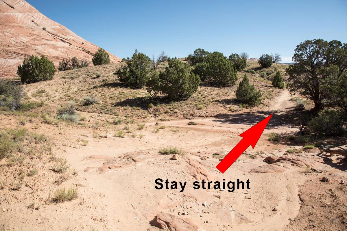 Stay straight at fork in trail