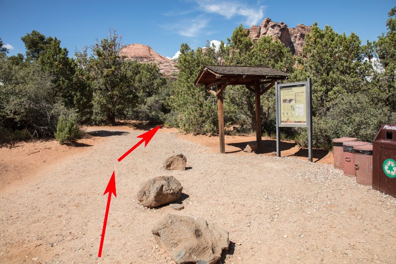 Trailhead is just past info sign