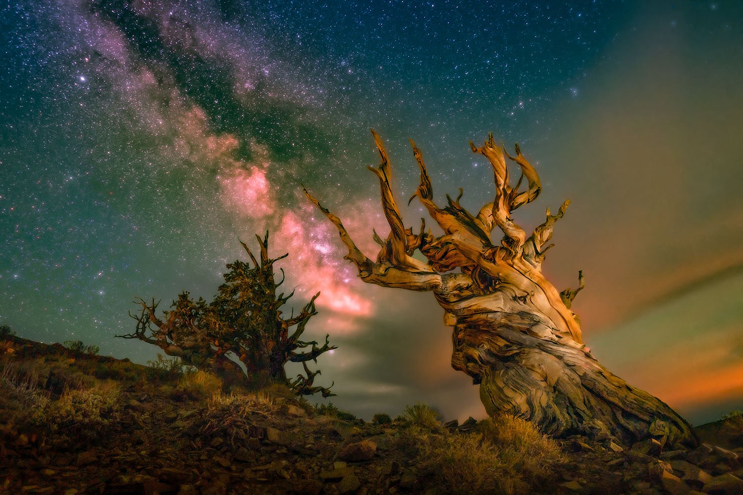 Bristlecone-Pine-Milky-Way-RS.jpg