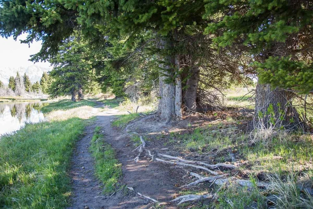 Trail To Location #2