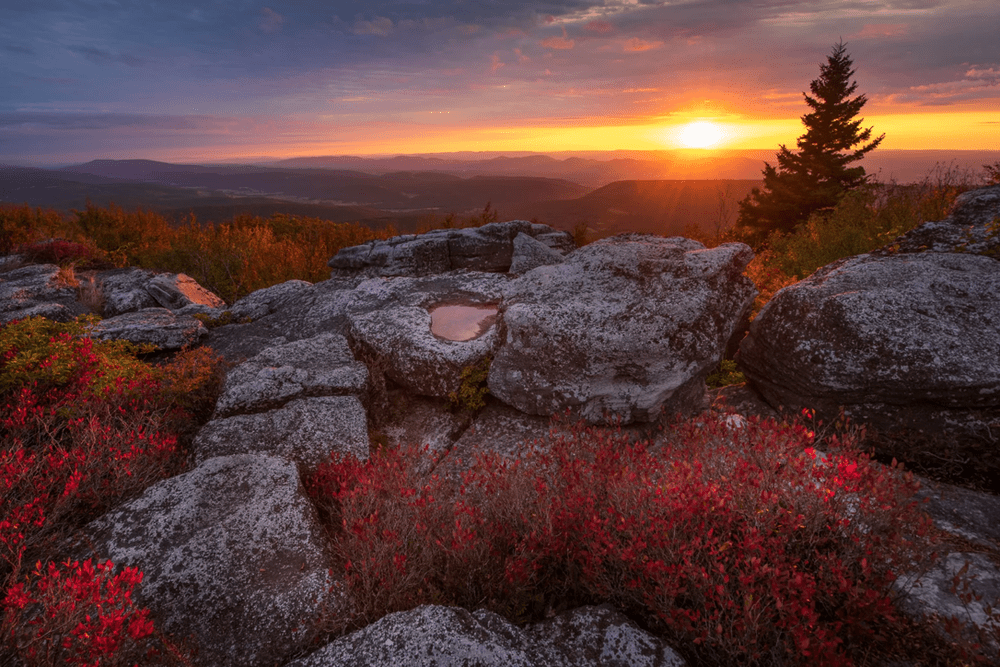 Image by Joseph Rossbach