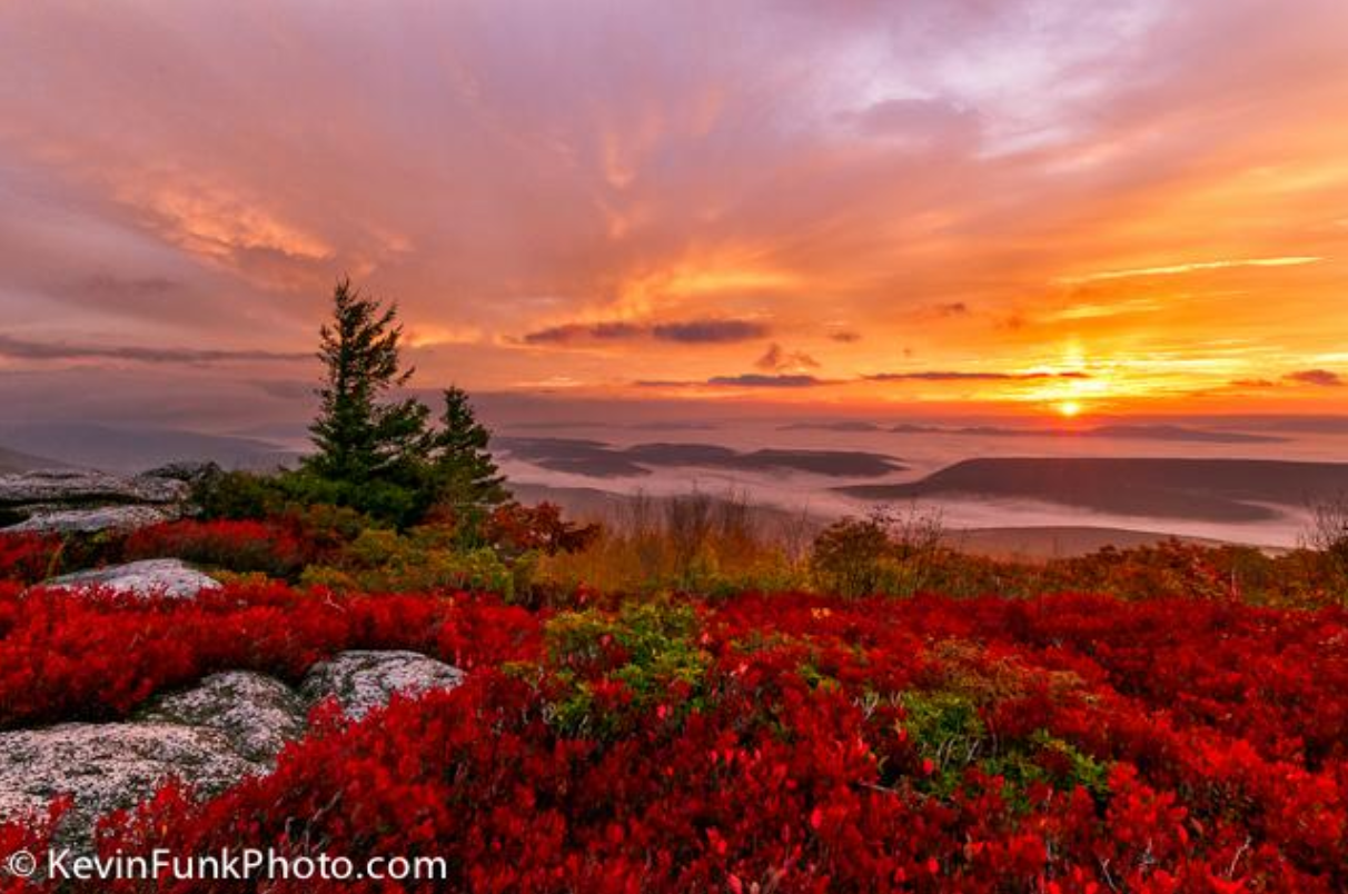Dolly Sods Overlook — Photographers Trail Notes