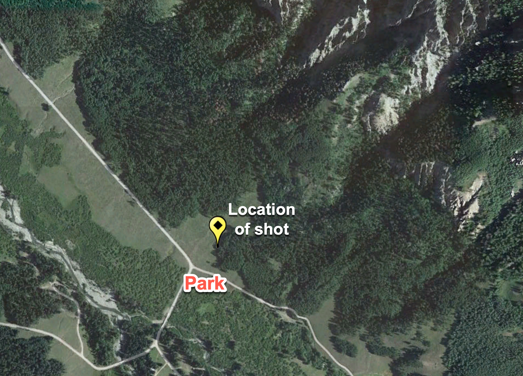 Google Maps.png