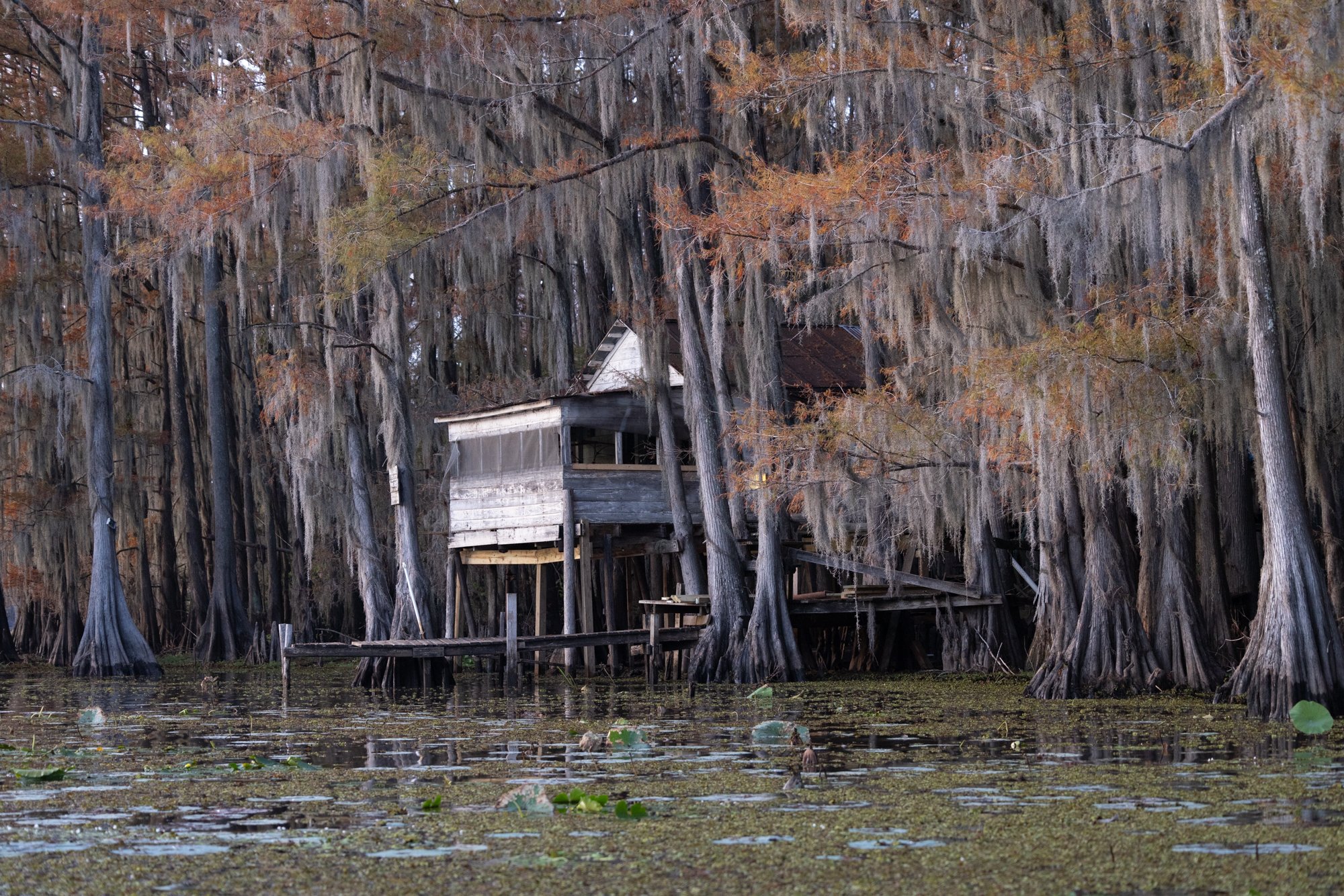 Old Shack.jpg