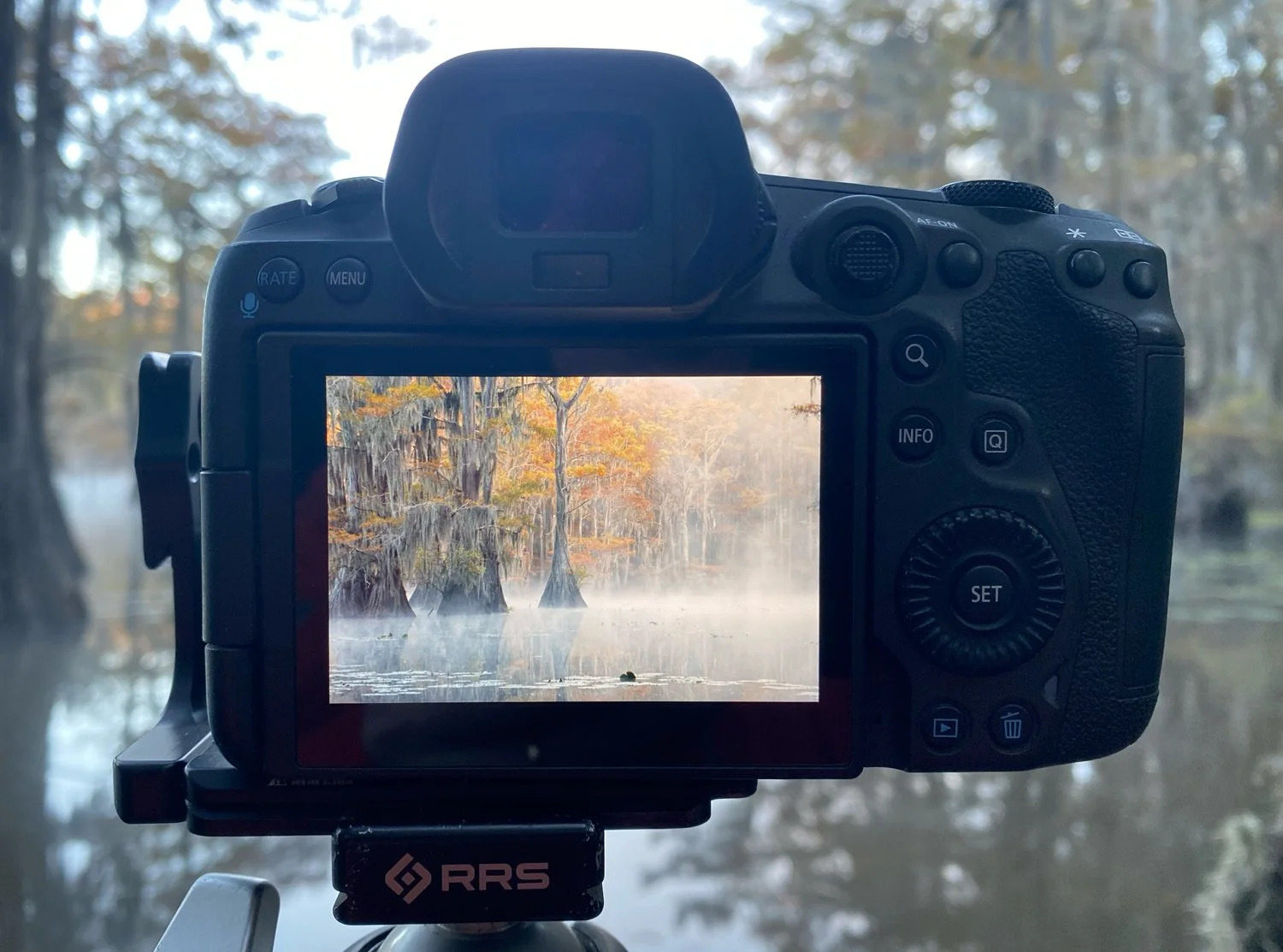Picture-on-Camera-LED.jpg