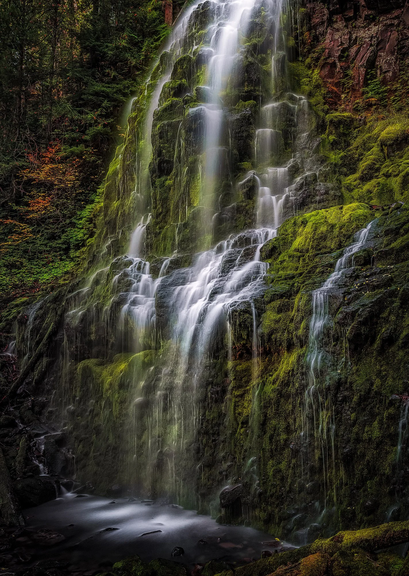 Autumn-in-Paradise.jpg