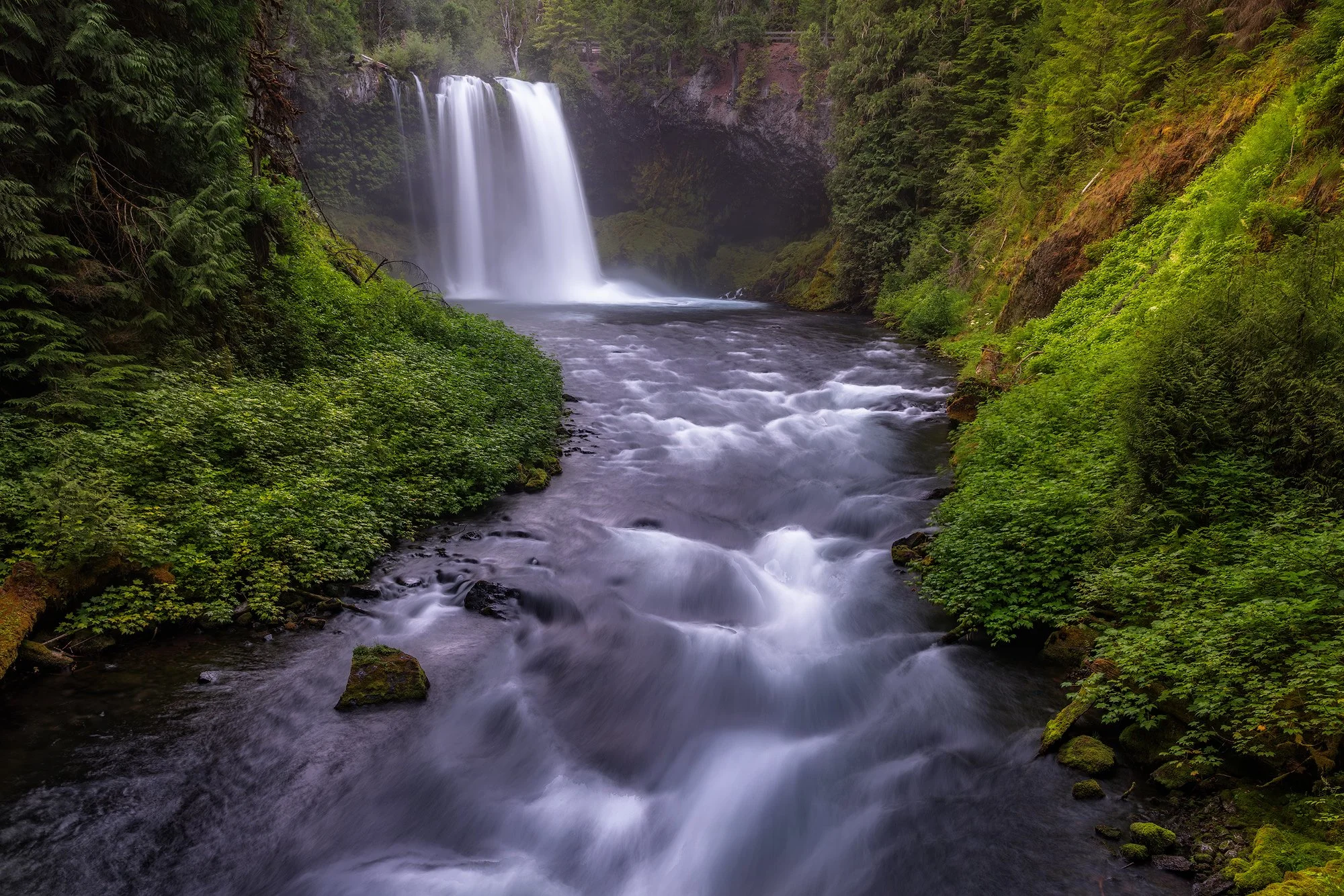 Koosah-Falls.jpg