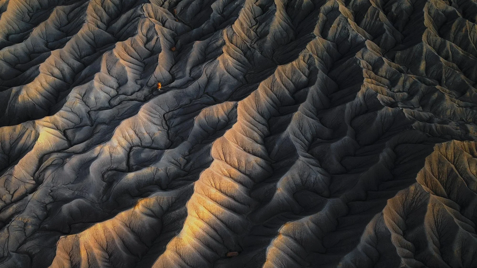 Red-waves.jpg