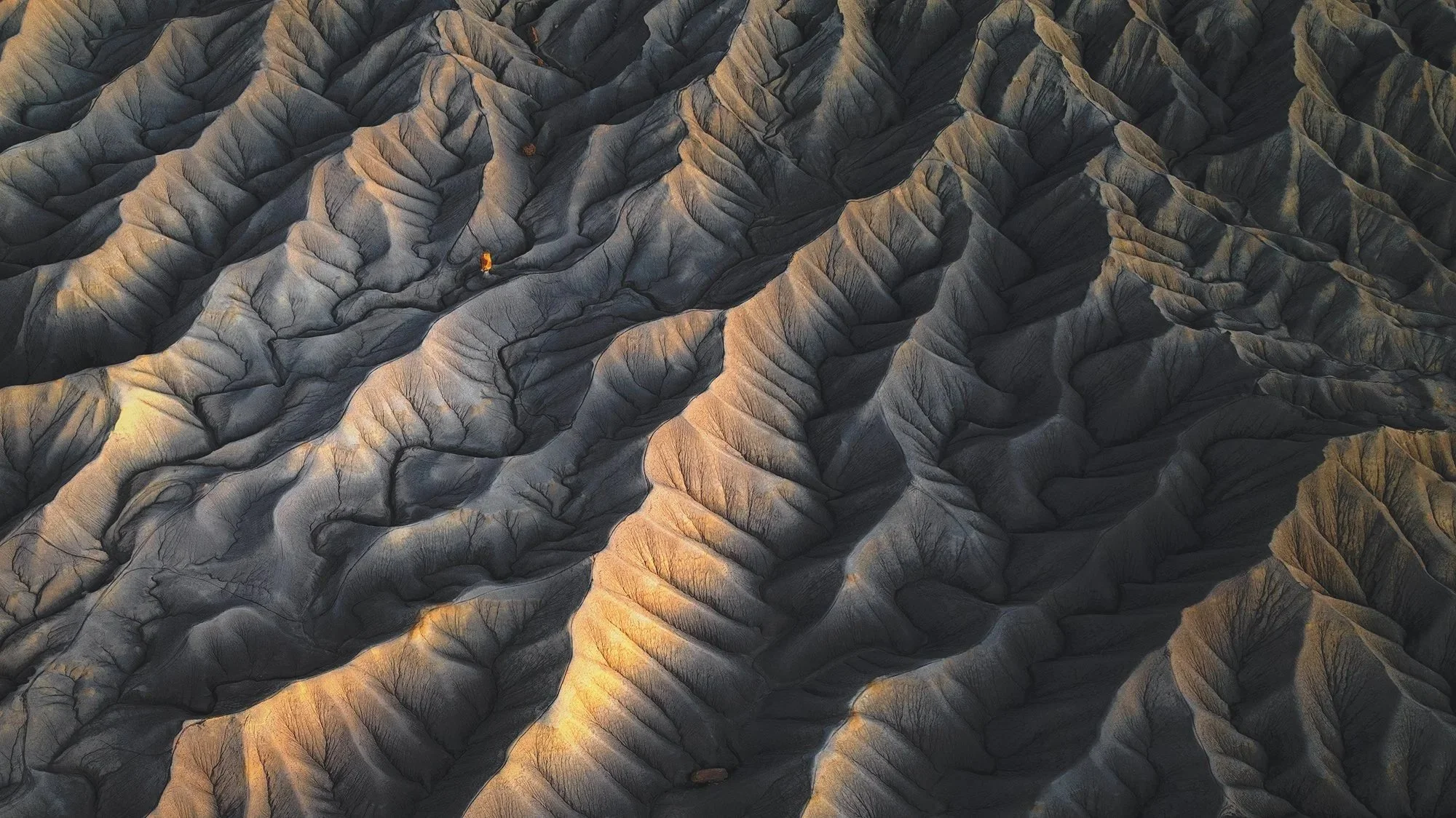 Red Waves