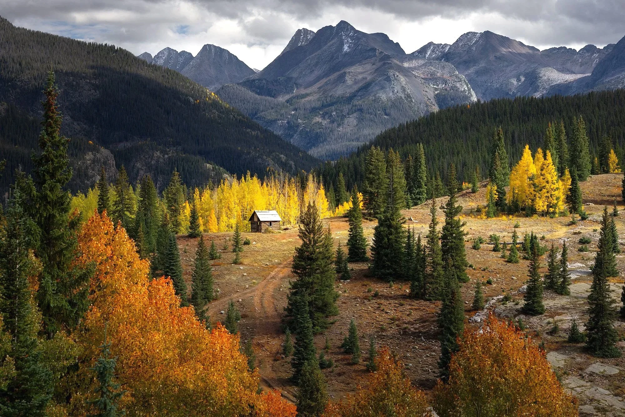 The Little Cabin