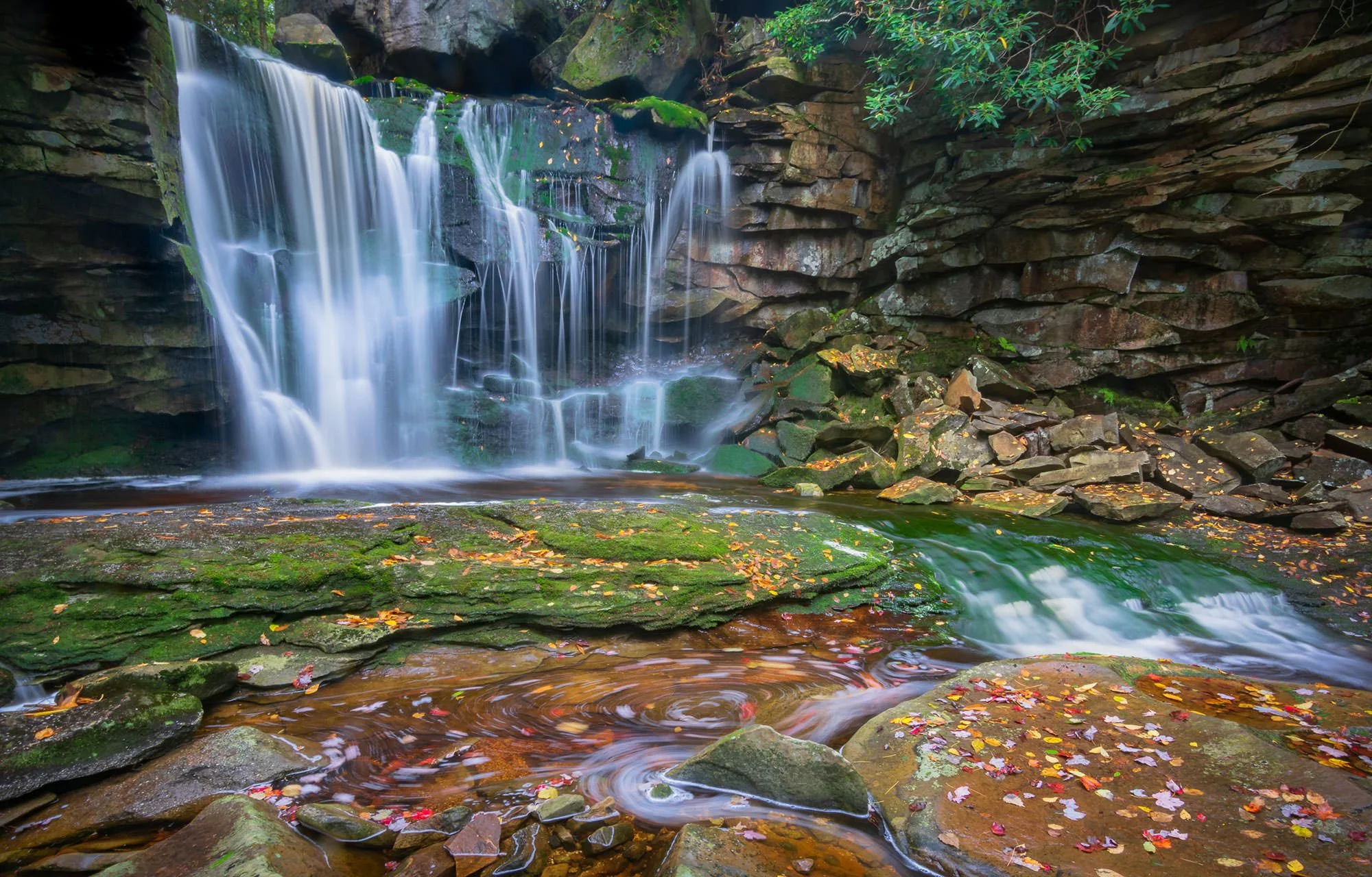 ELAKALA WATERFALL, Blackwater State Park / Davis, W.Va.