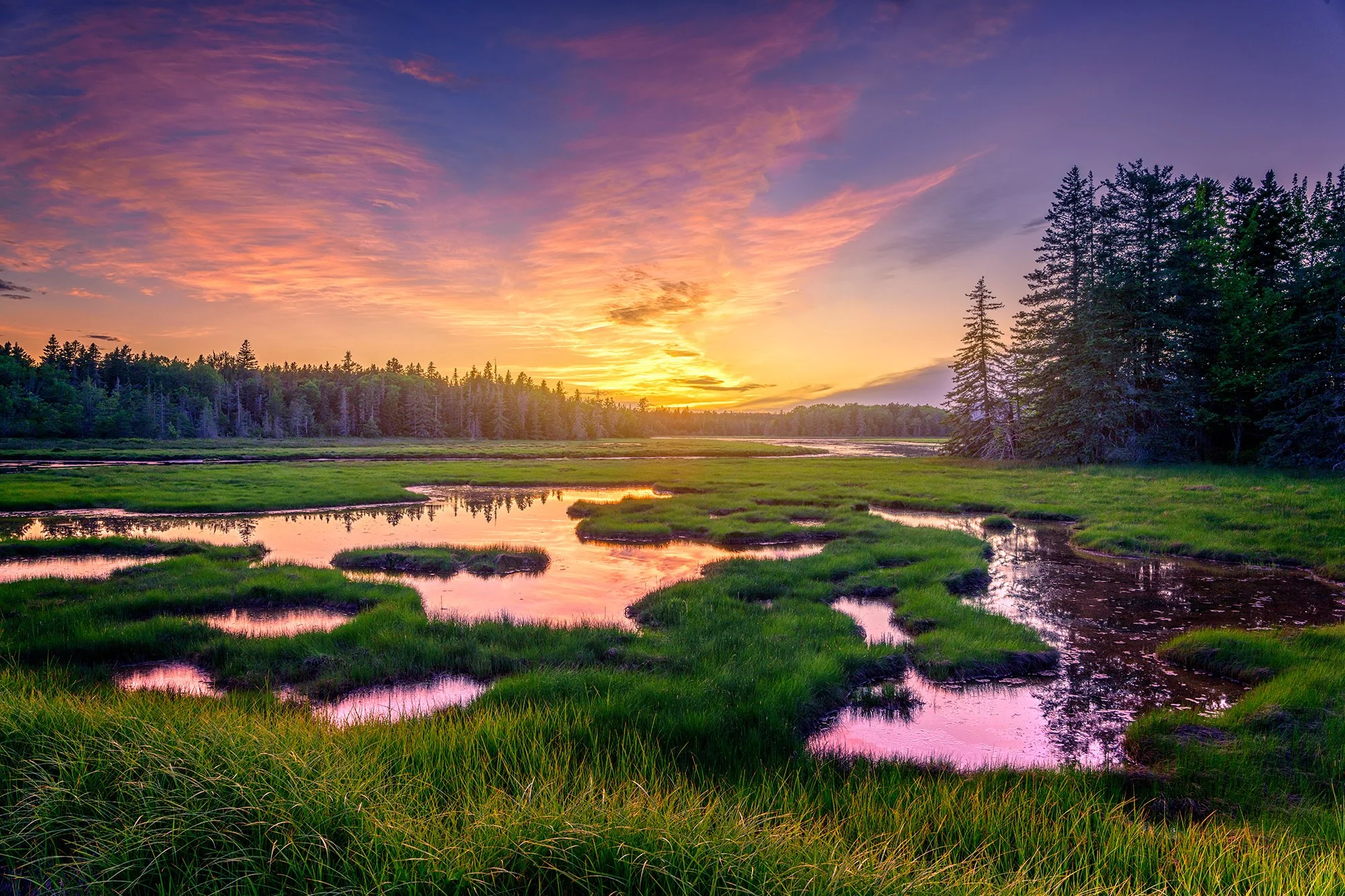 BASS HARBOR MARSH Acadia National Park, ME