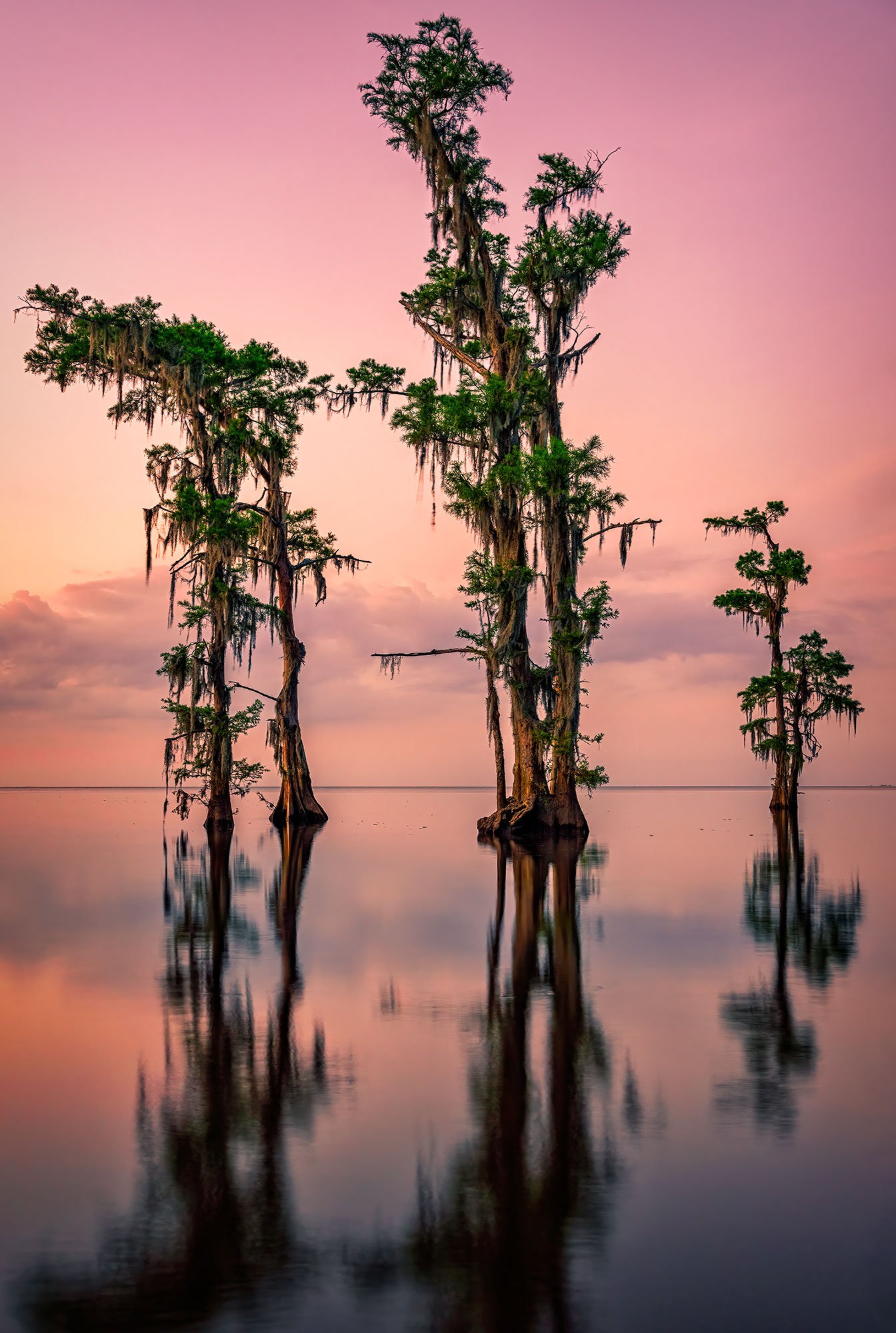 Photographers Guide for Lake Maurepas Photographers Trail Notes