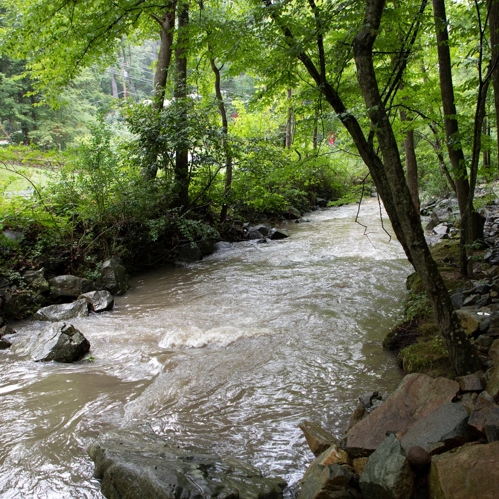 180725_Bolin_Creek_rain_03.jpg