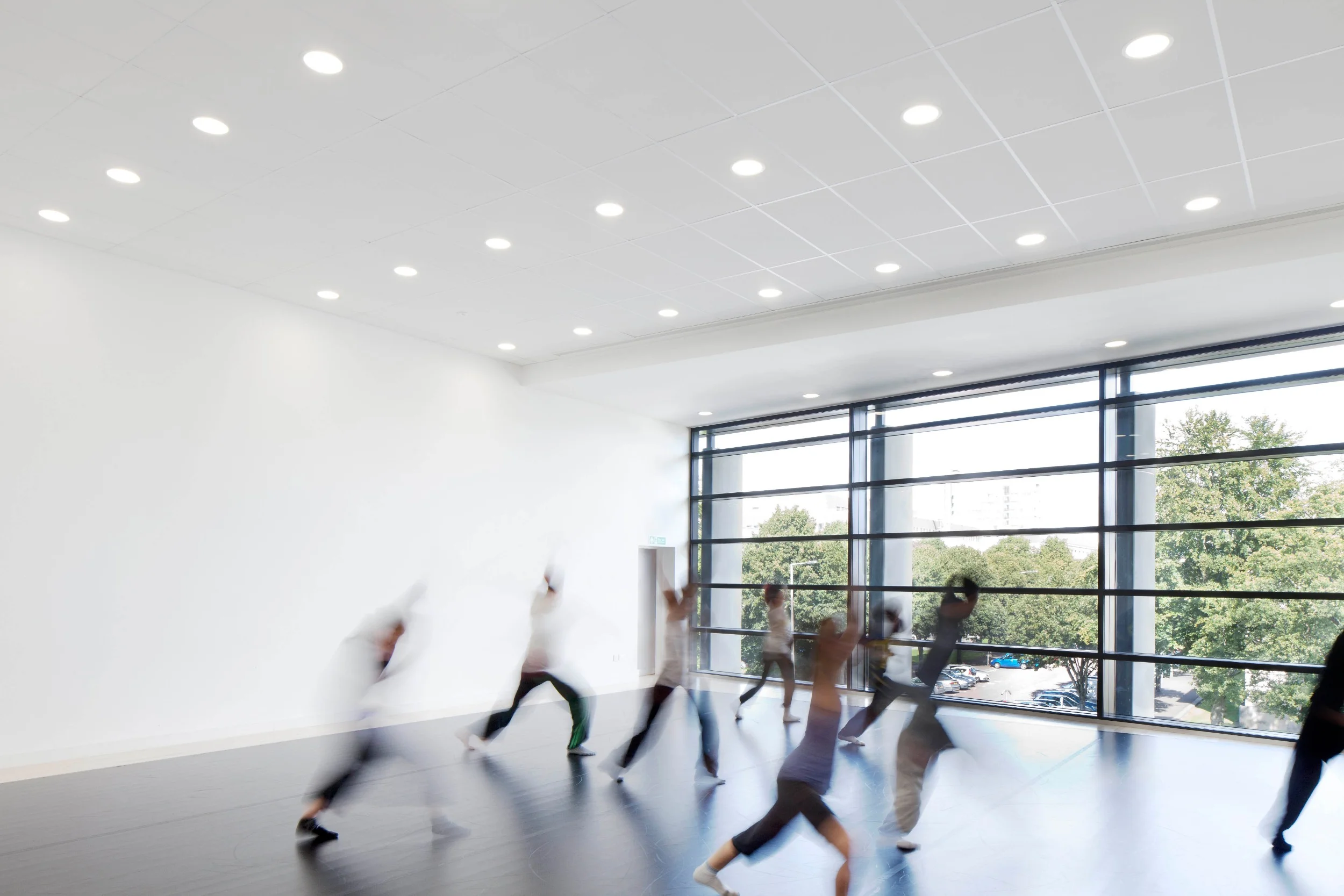 026_RWCMD.jpg