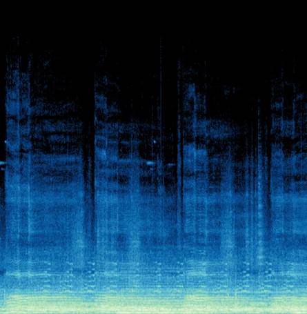 003_Musicity (1).jpg
