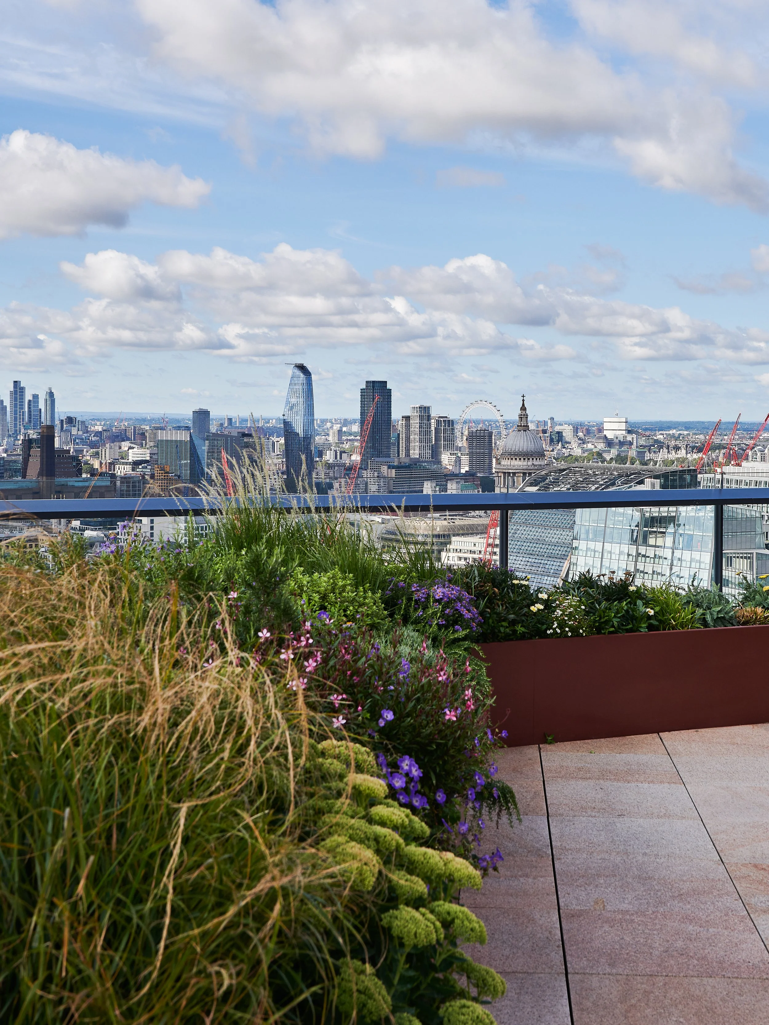 PENTHOUSEB_VIEW 16.jpg