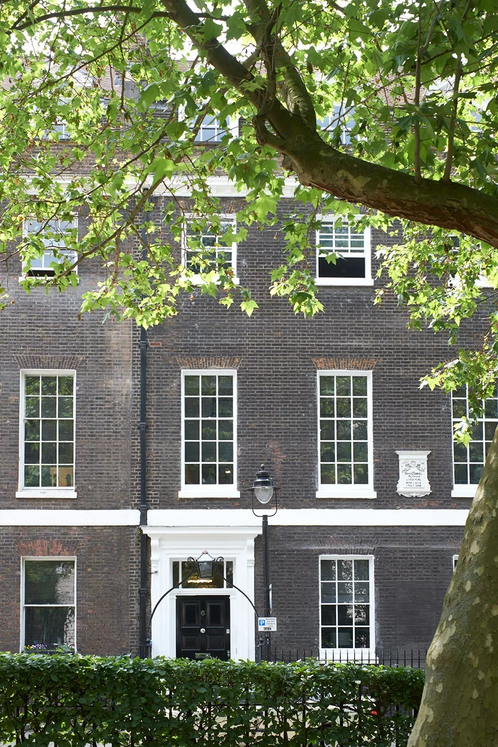 NGUT-1299-Flint-0034 copy.JPG