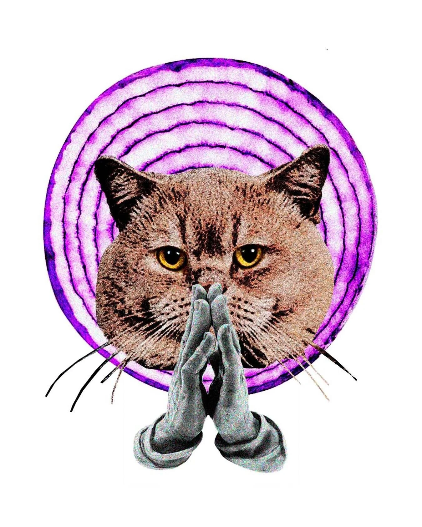 - wisdom

- expressions series / just for fun