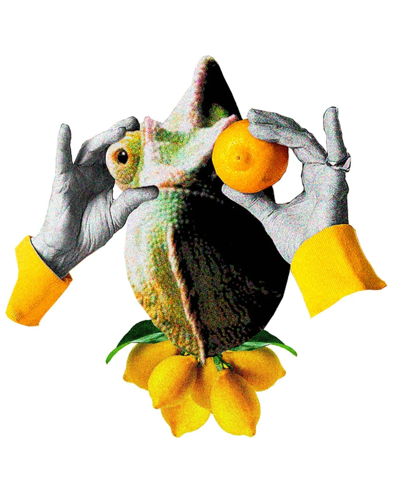 - react

- expressions series / just for fun