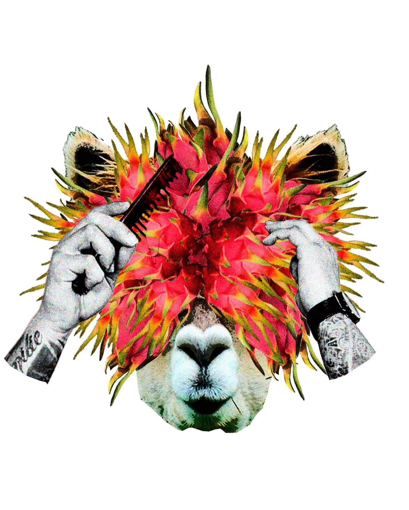 - grind

- expressions series / just for fun