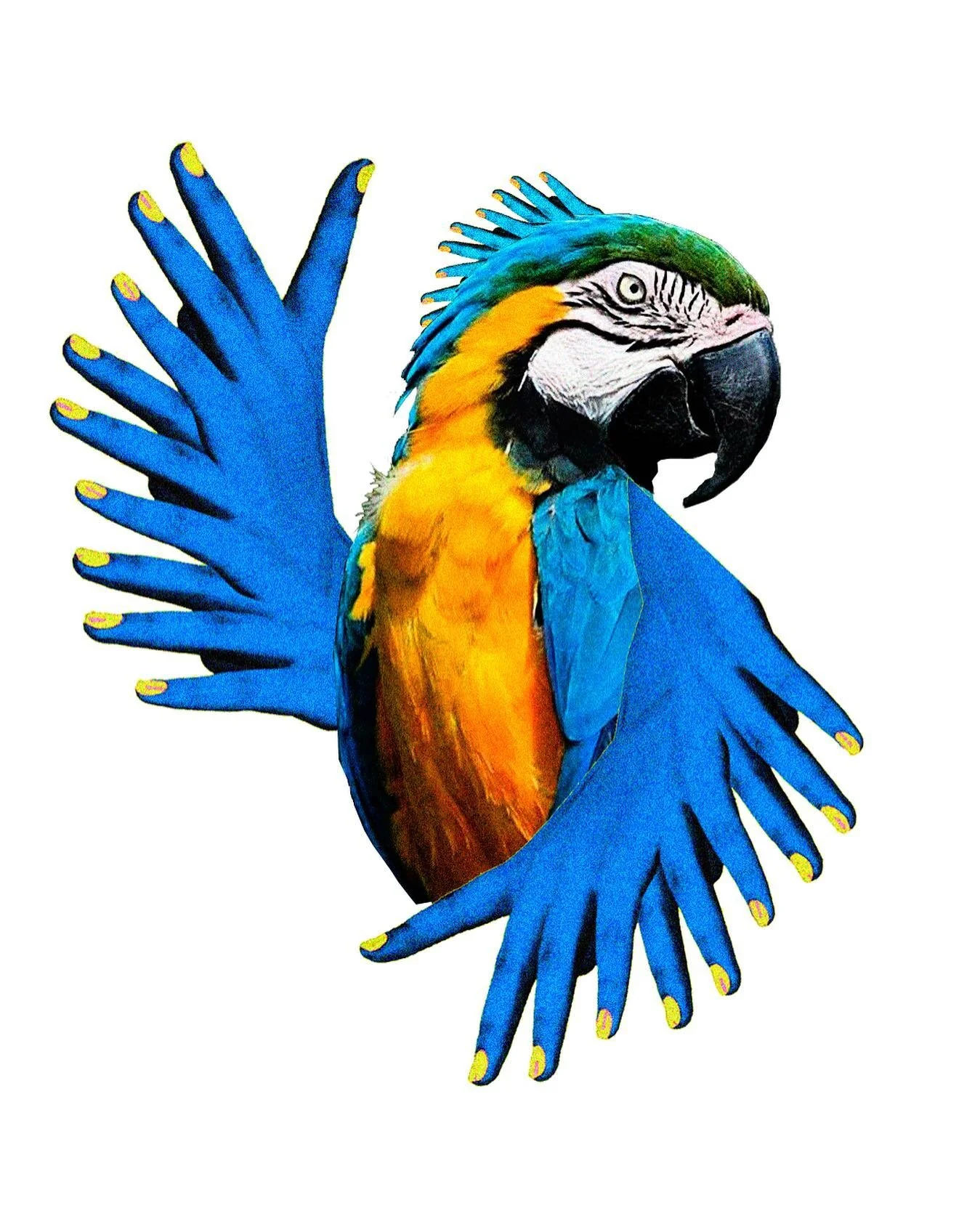 - open

- expressions series / just for fun