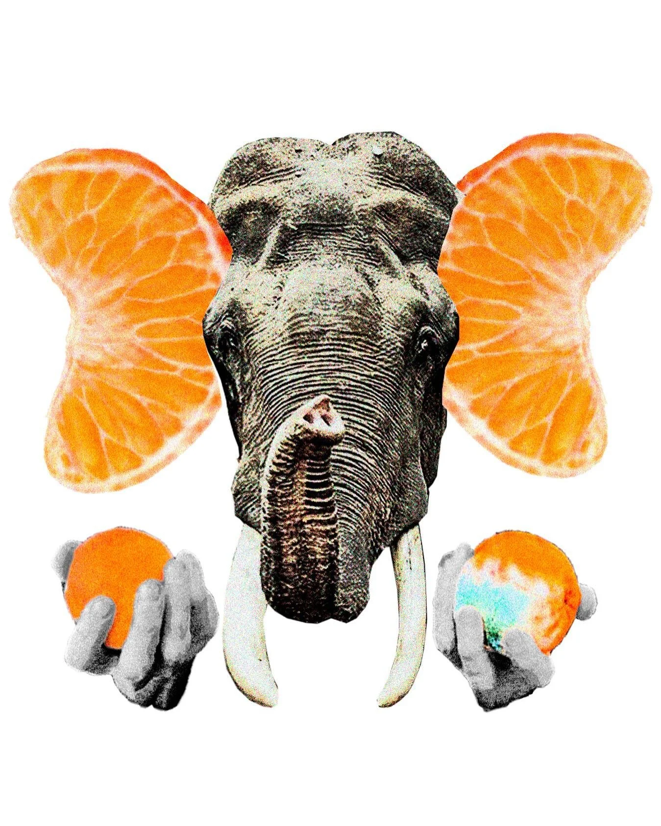 - trust

- expressions series / just for fun