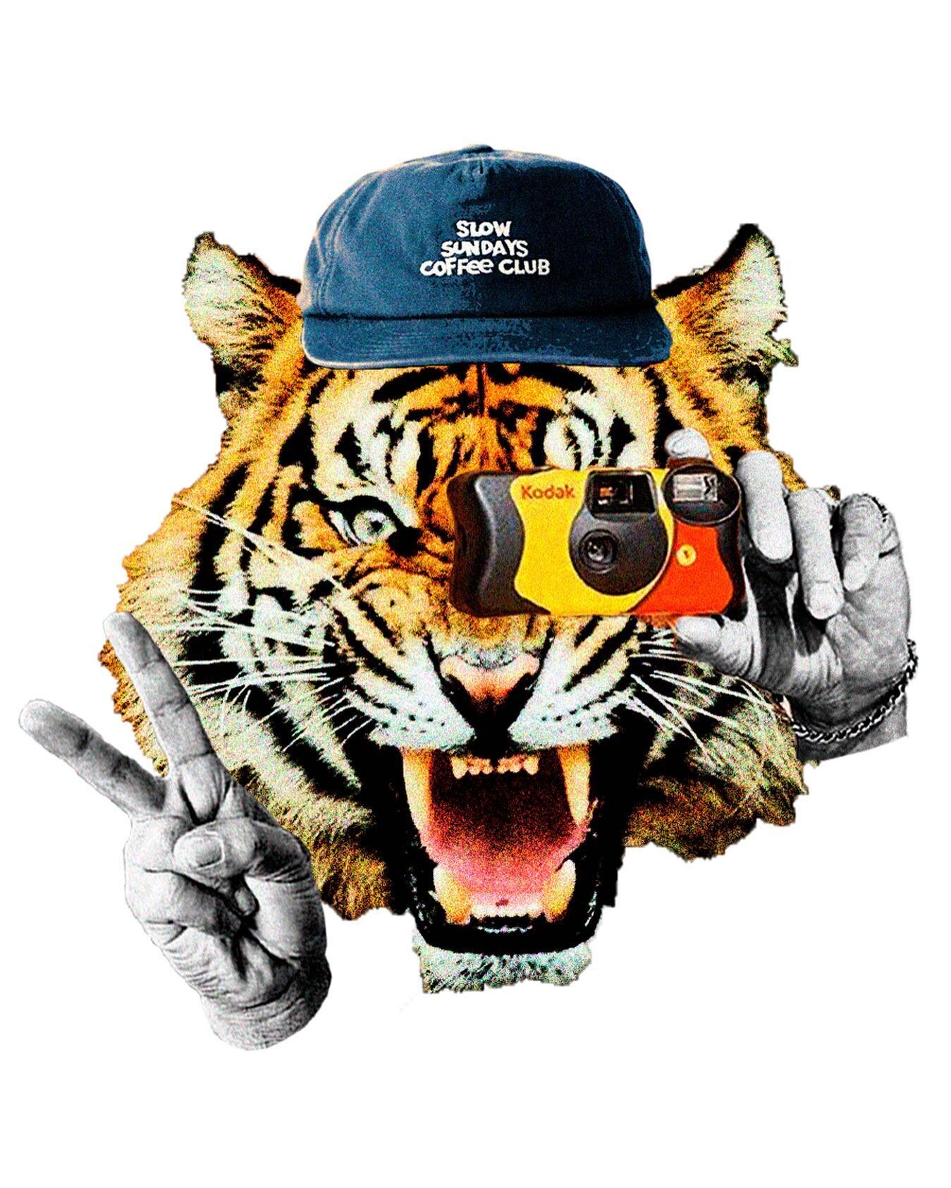 - quirk

- expressions series / just for fun