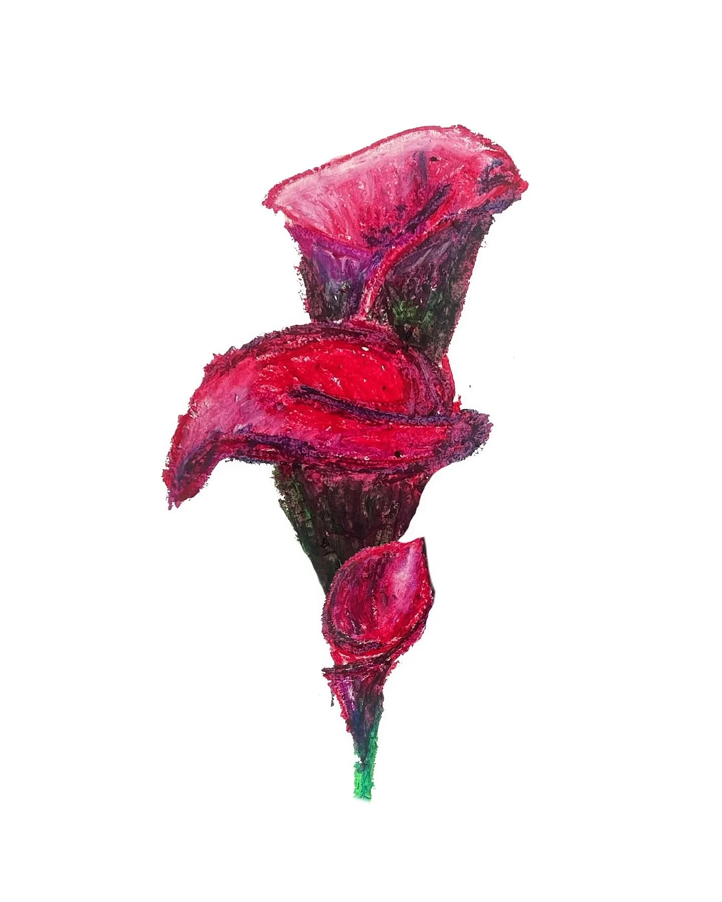 - oda a la flora [i]

+ ceras