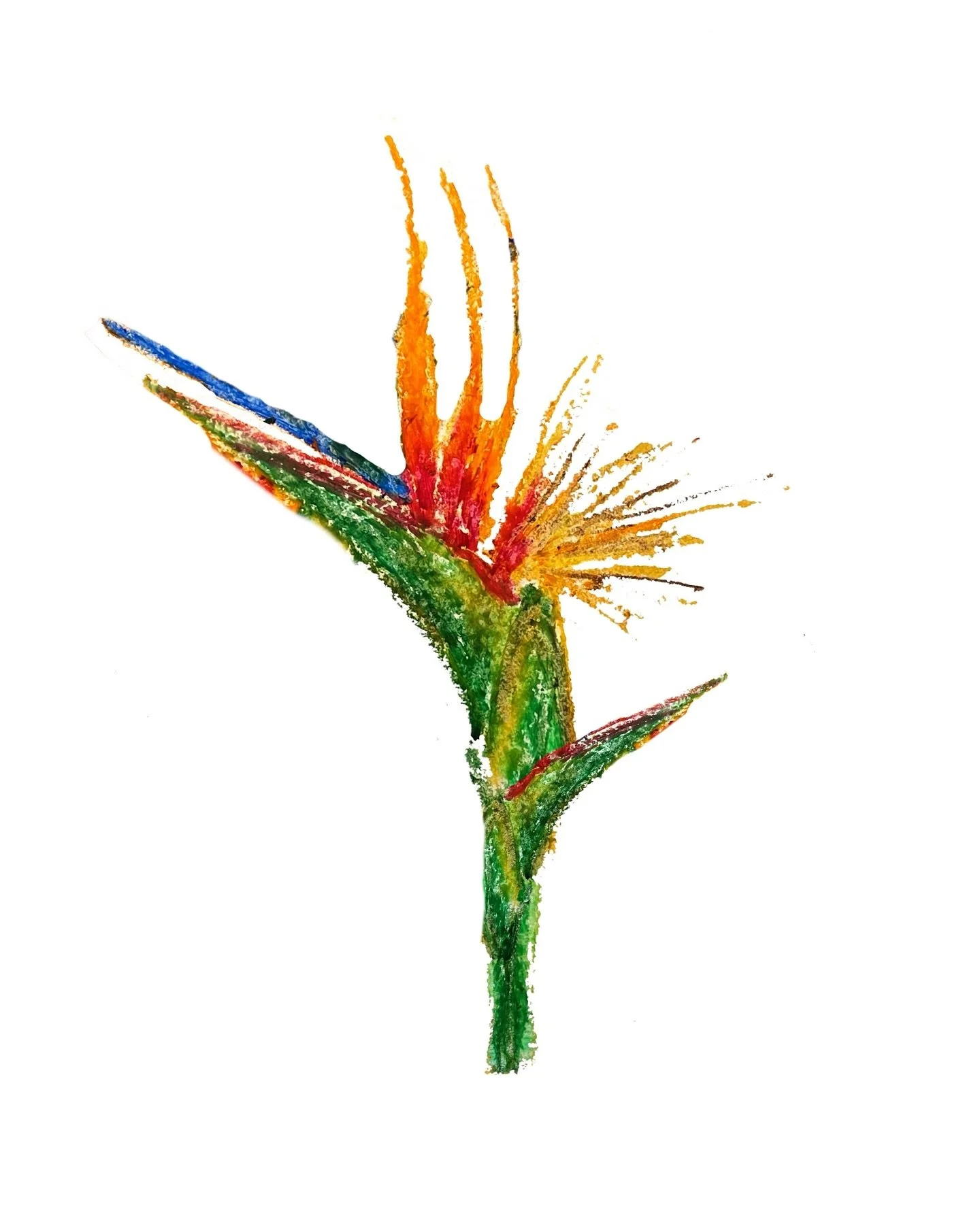 - del para&iacute;so