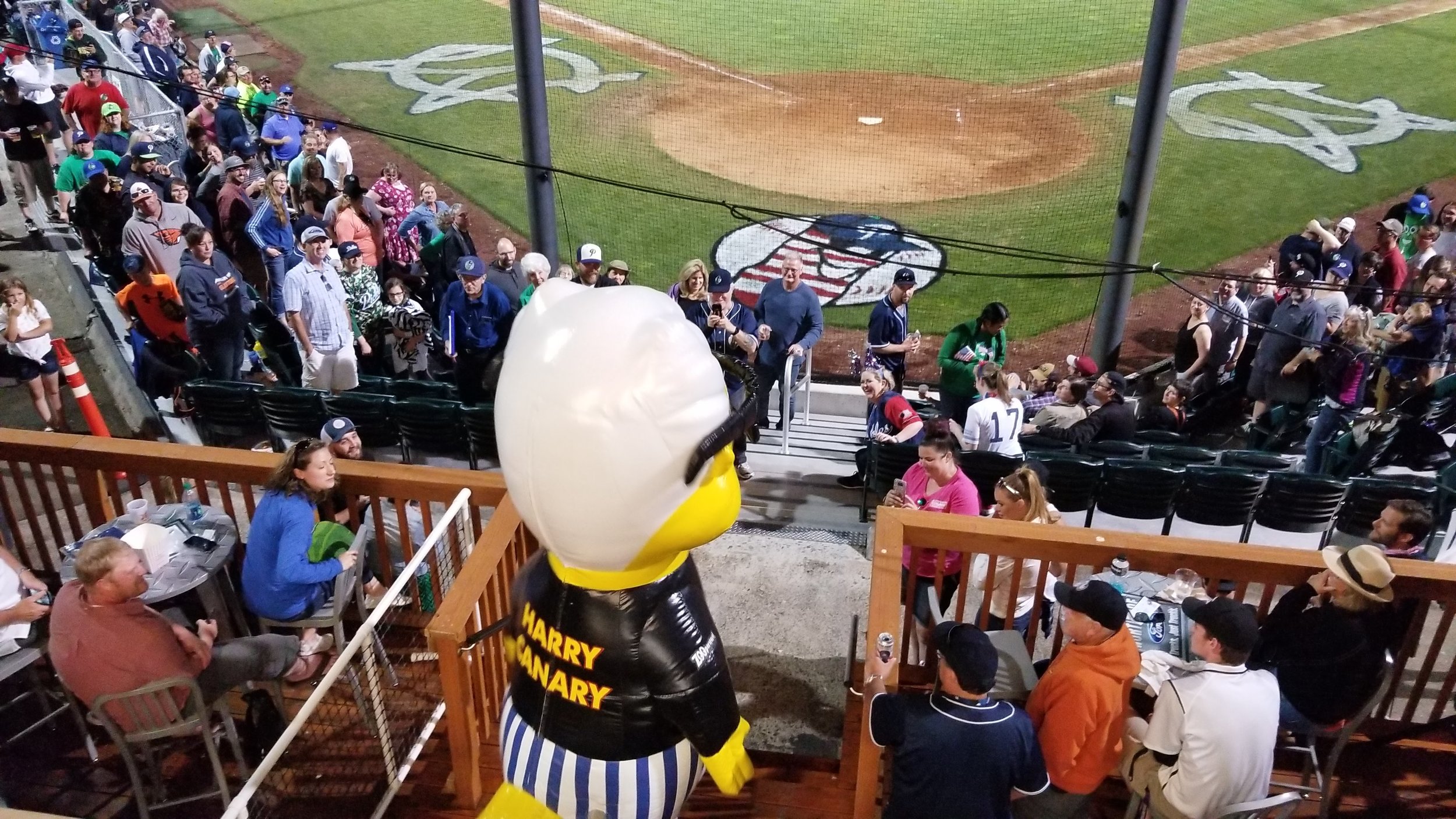 Harry Canary enjoying the view from the Northside Ford Party deck.