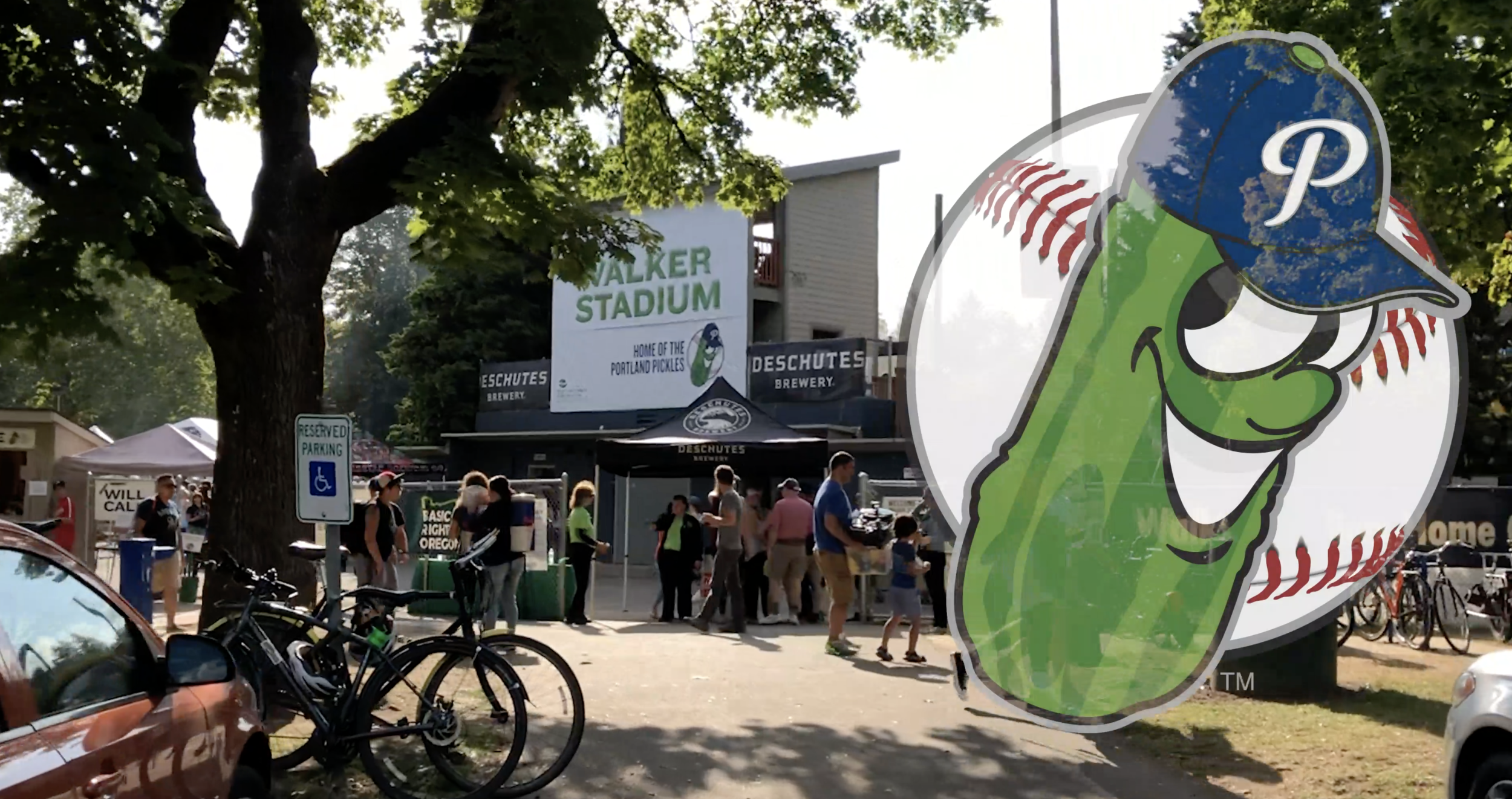 News — PORTLAND PICKLES