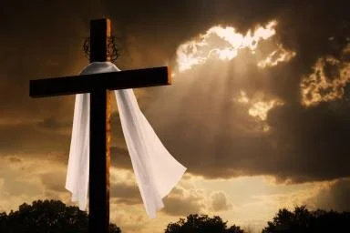 4th Sunday of Easter (May 3, 2020)