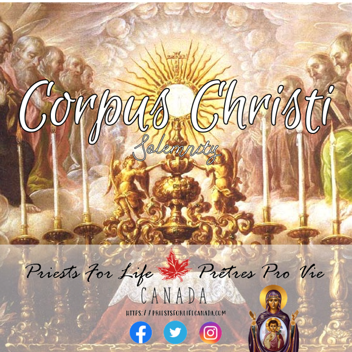 Solemnity of the Most Holy Body and Blood of Christ (June 6, 2021)