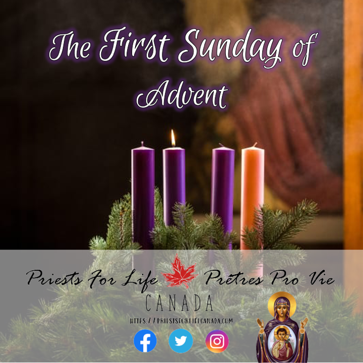 1st Sunday of Advent (November 28, 2021)