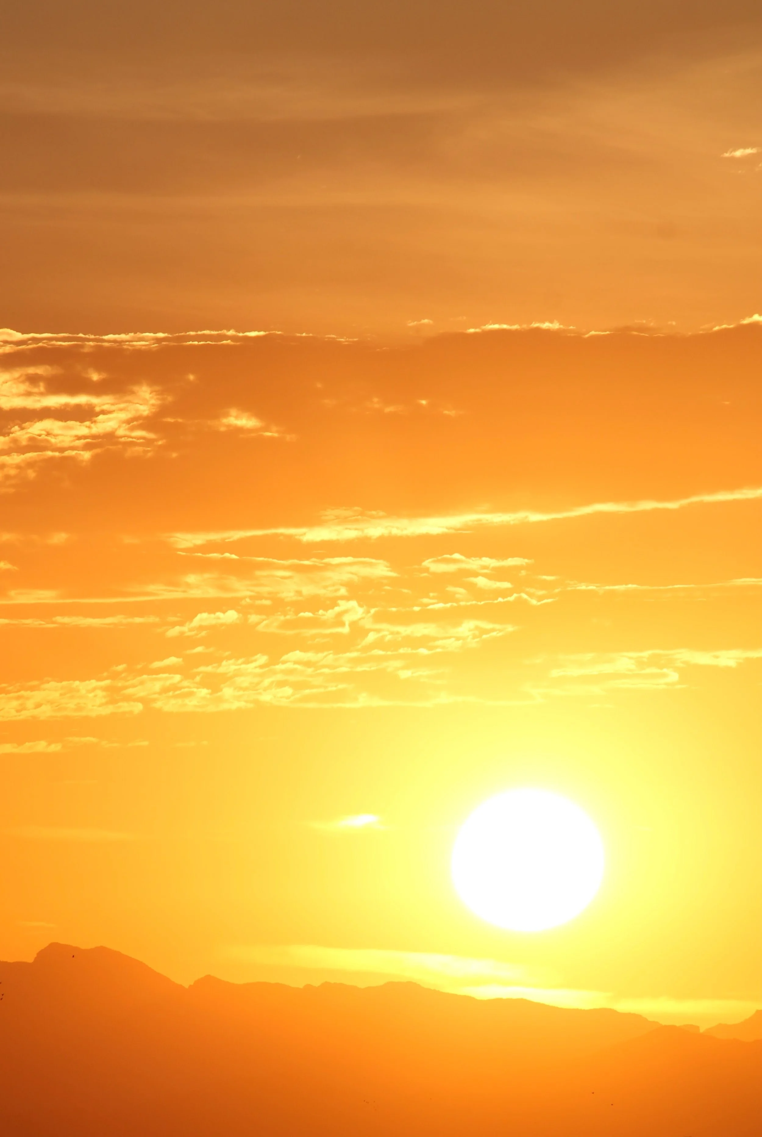 3rd Sunday in Ordinary Time (January 22, 2023)