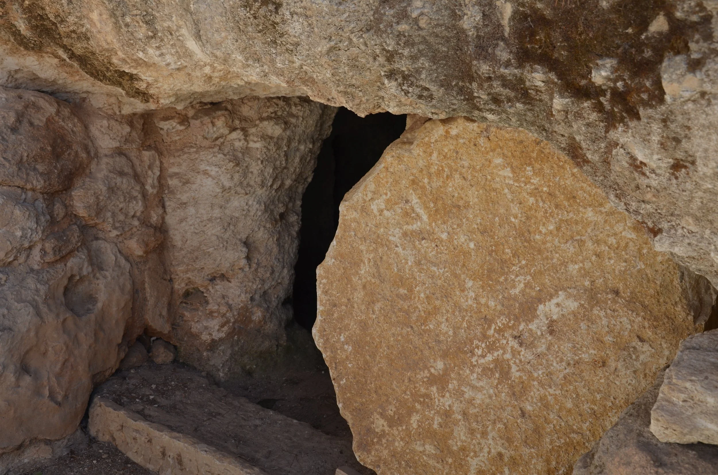 5th Sunday in Lent (March 26, 2023)