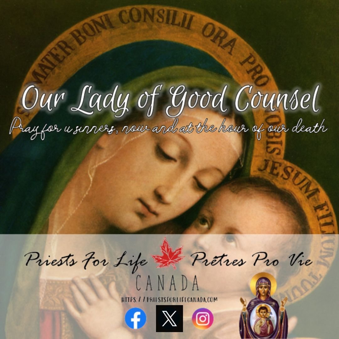 Holy Virgin, moved by the painful uncertainty we experience in seeking and acquiring the true and the good, we cast ourselves at thy feet and invoke thee under the sweet title of Mother of Good Counsel. We beseech thee: come to our aid at this moment