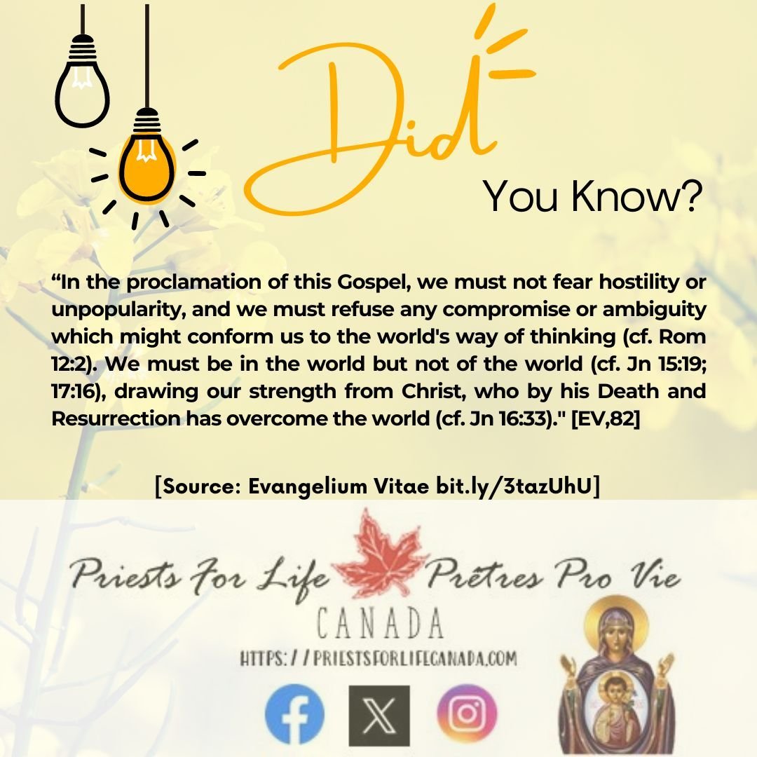 To learn more about Priests For Life Canada and their ministry visit priestsforlifecanada.com.