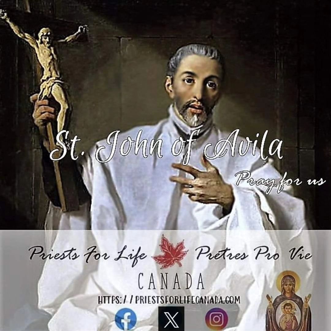 St. John of Avila was a well-known priest, mystic and writer in the sixteenth-century Spain and a good friend of St. Ignatius Loyola and adviser of St Teresa of Avila. He was born at Almodovar del Campo in the province of Ciudad Real to wealthy paren