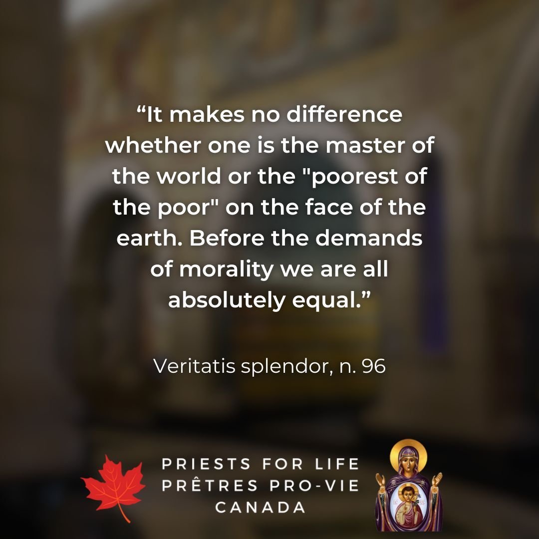 To learn more about Priests For Life Canada and their ministry visit priestsforlifecanada.com.