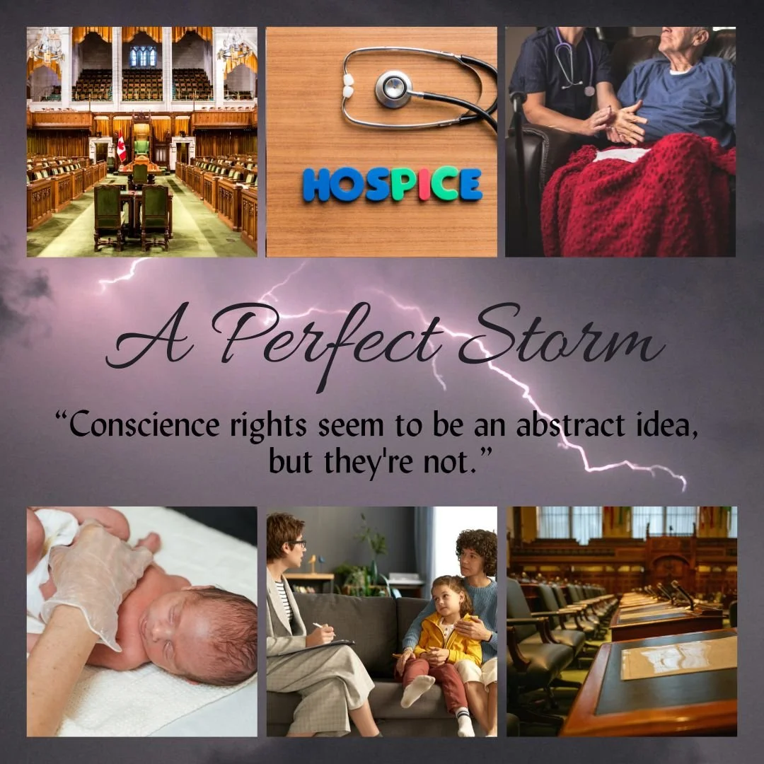 A Perfect Storm 