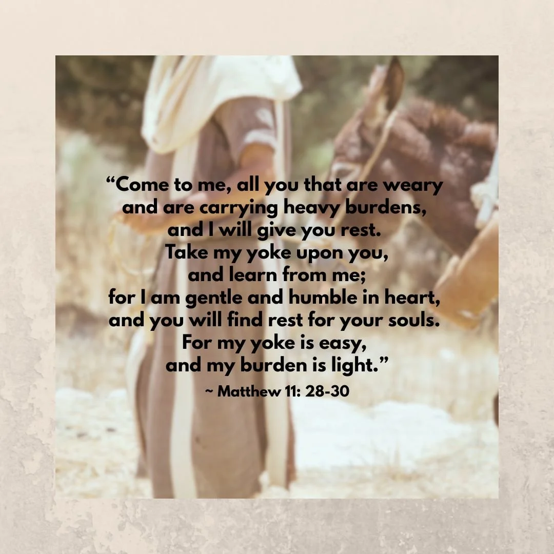 14th Sunday in Ordinary Time (July 5, 2026)