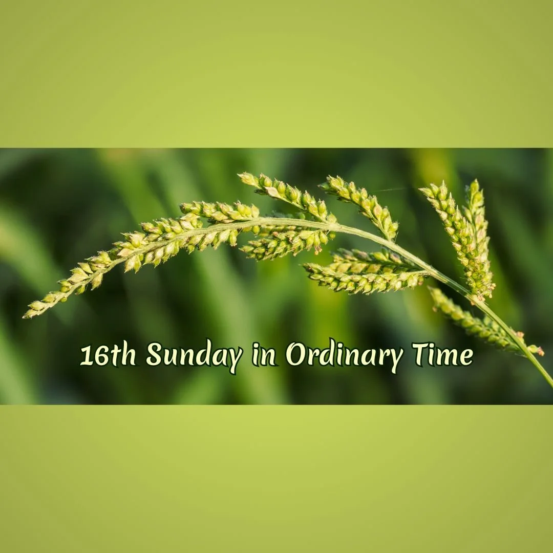 16th Sunday in Ordinary Time (July 19, 2026)