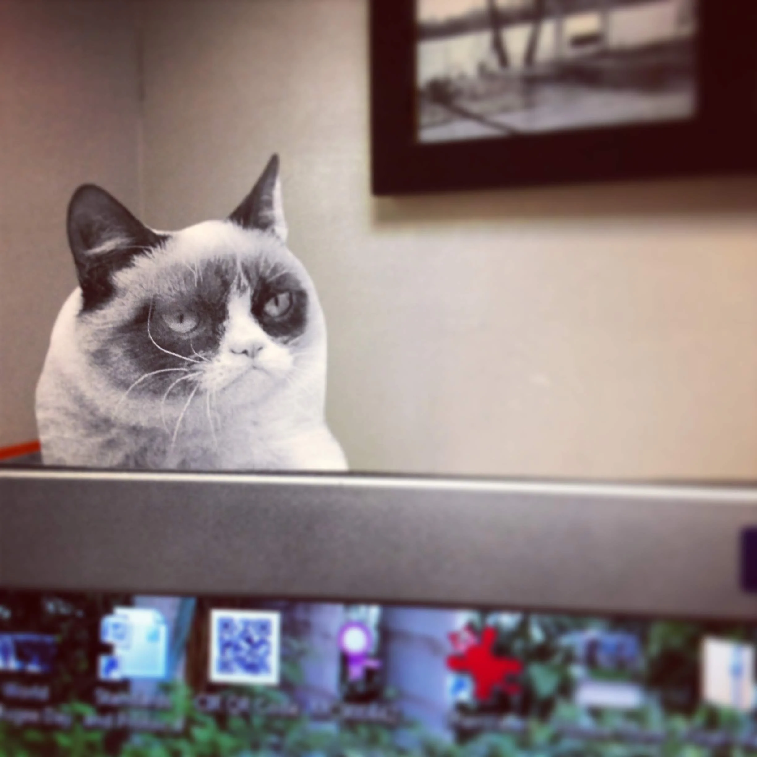 Misogyny &amp; How It Affects Nonprofit Salaries