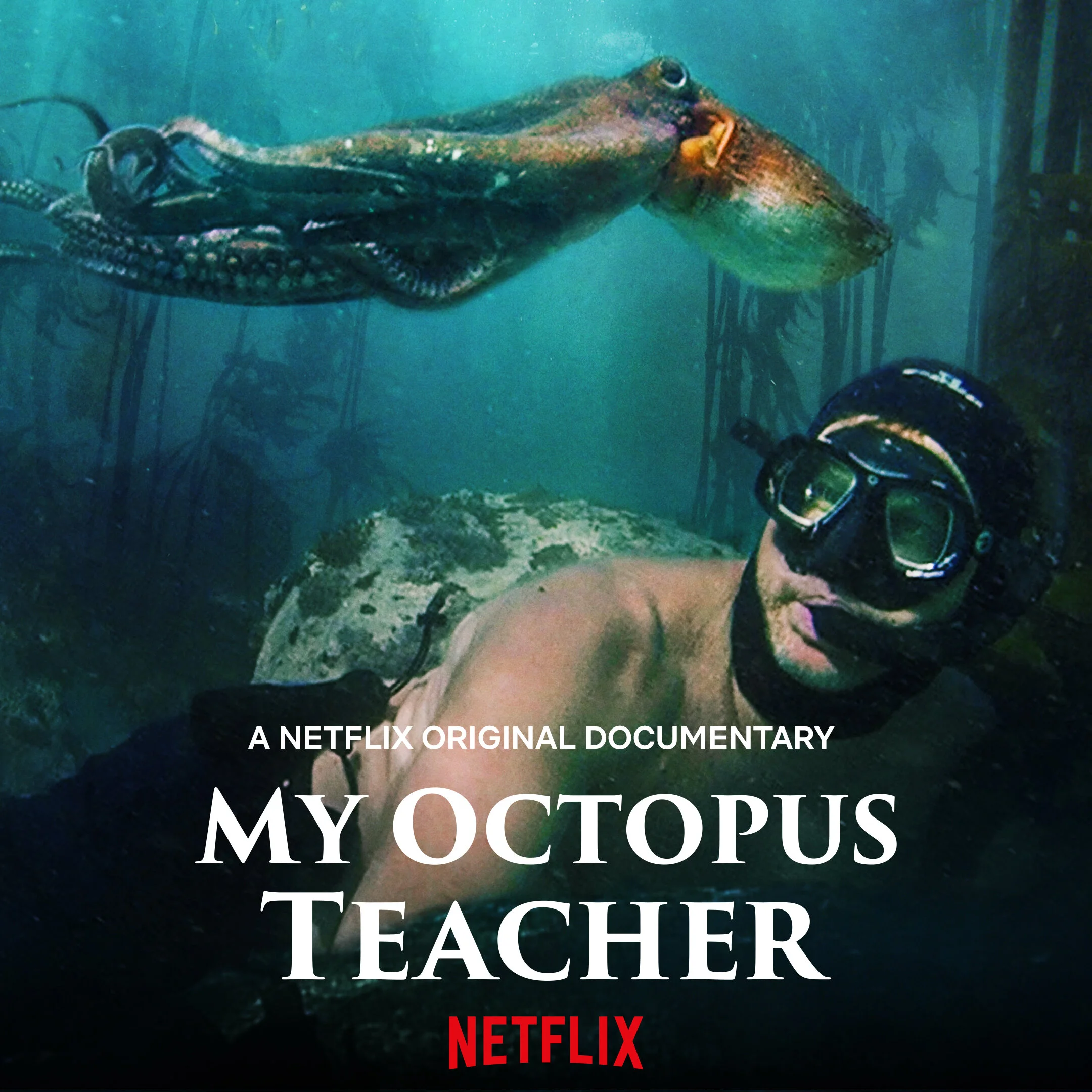 Watch | My Octopus Teacher