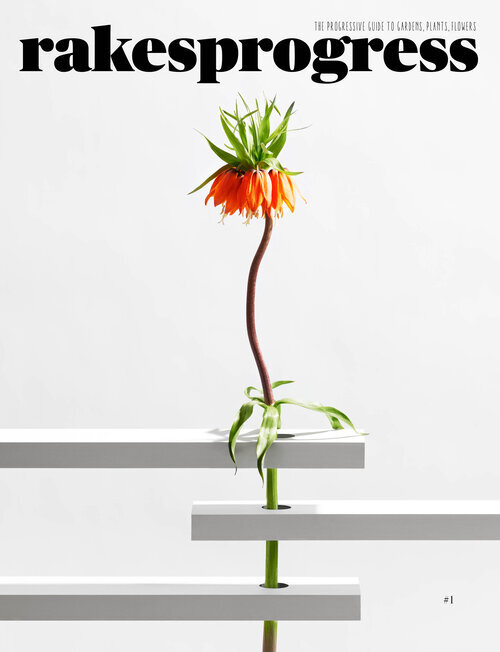 Read | rakesprogress