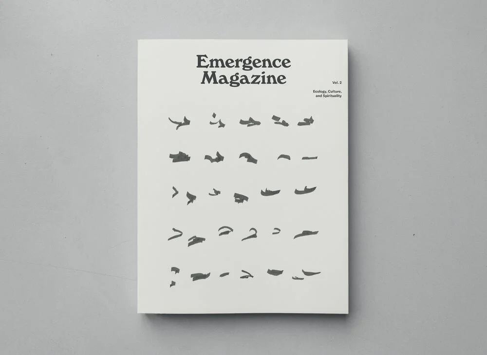 For Mind/Body Connection & Nature: Emergence Magazine