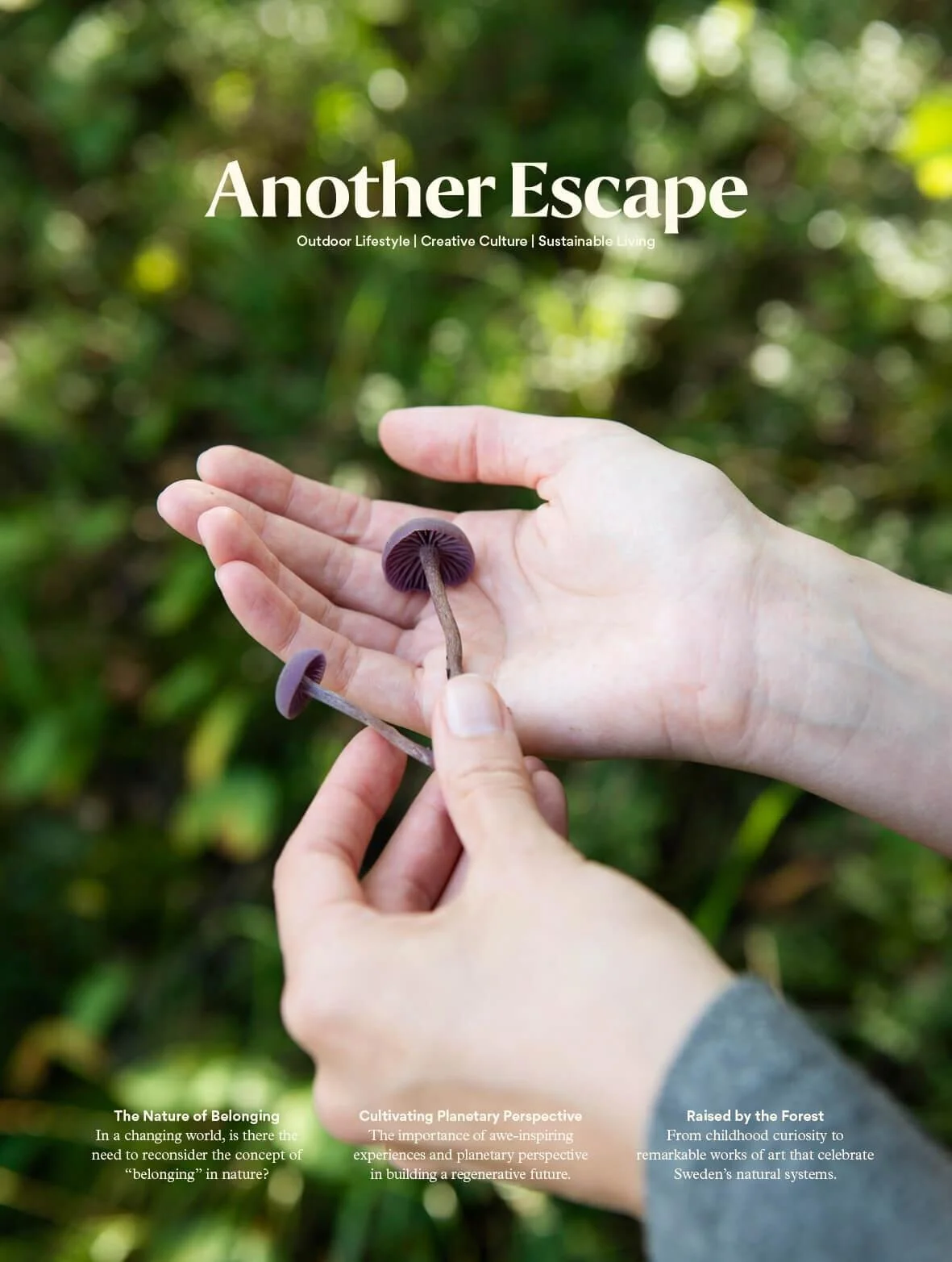Read | Another Escape