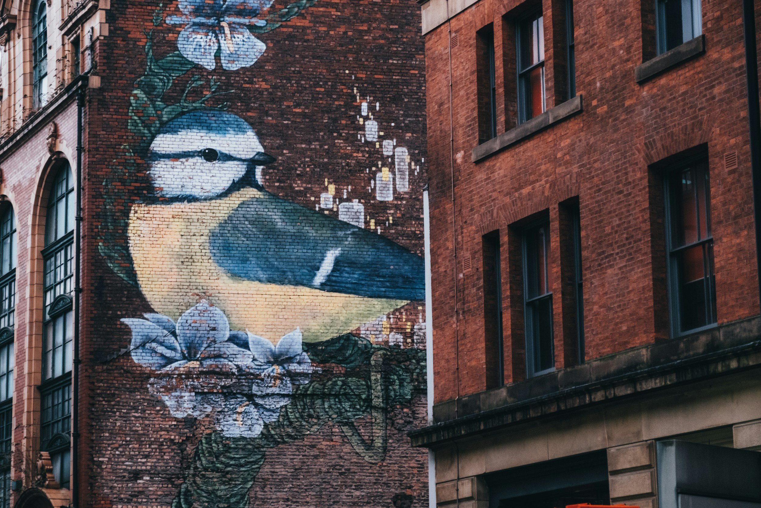 Manchester's Hidden Gems for Quiet Moments